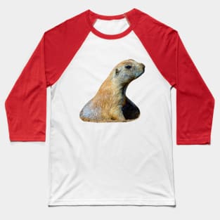 Prairie dog pop up Baseball T-Shirt